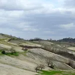 In Monferrato * Albugnano