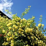 Ferienhaus In Monferrato Albugnano