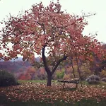 In Monferrato Ferienhaus *