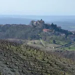 In Monferrato