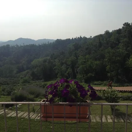 In Monferrato