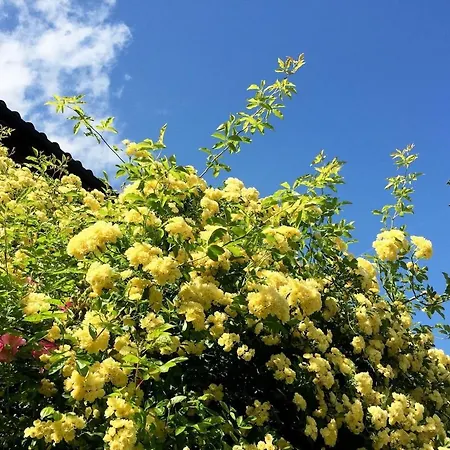 別荘 In Monferrato Albugnano