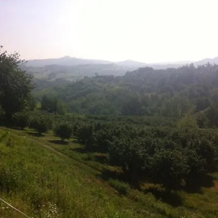 In Monferrato 別荘 *