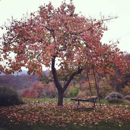 In Monferrato Vakantiehuis *