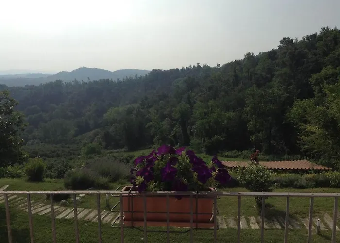 In Monferrato