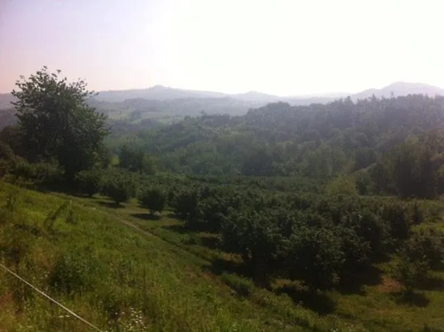 In Monferrato 別荘 *