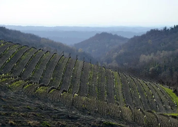 In Monferrato 別荘 Albugnano